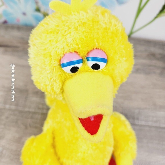 Sea World Sesame Place Big Bird Plush 12" Stuffed Animal 2019 Seaworld - Picture 5 of 7